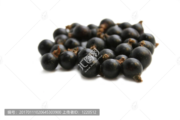黑加侖漿果