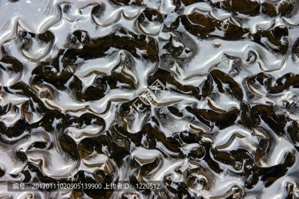 反射在春天的冰里