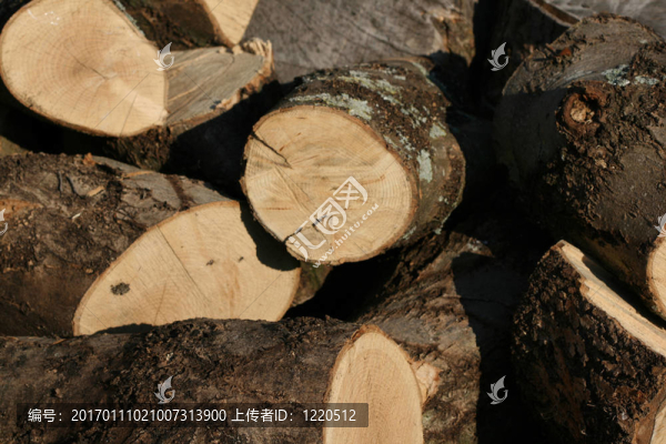 logs2