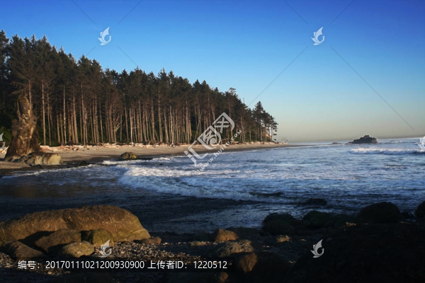 太平洋海岸線