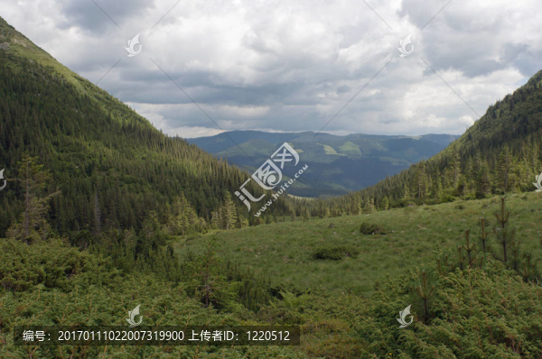 山谷