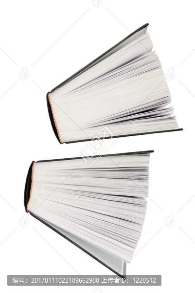 大的書