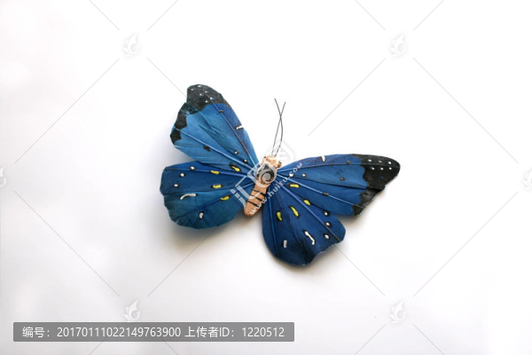 藍色的一只蝴蝶