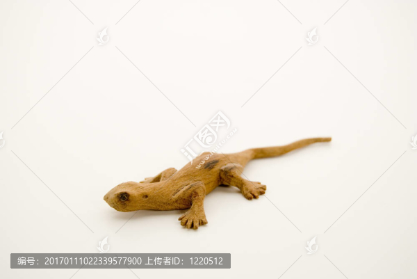 蜥蜴