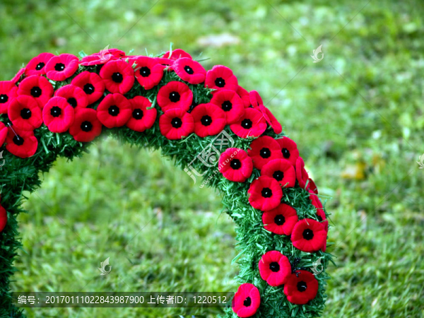 罌粟花環(huán)的特寫