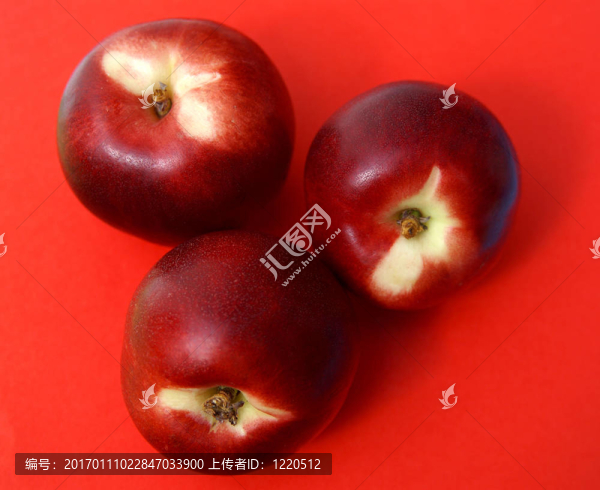 油桃果實