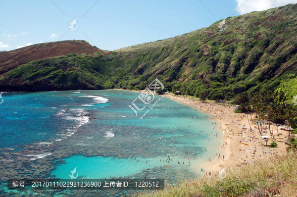 火奴魯魯海灣的珊瑚礁