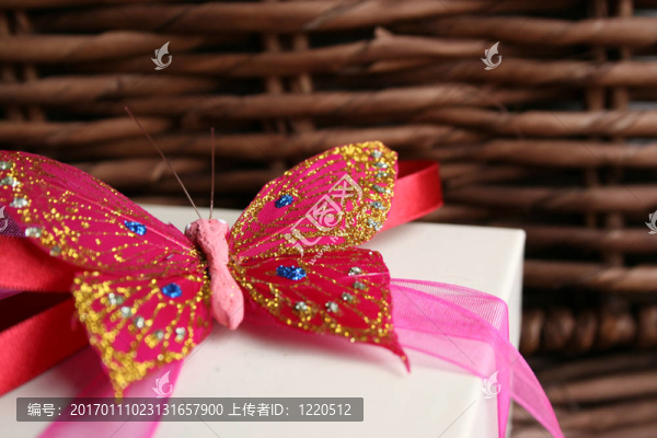 蝴蝶面