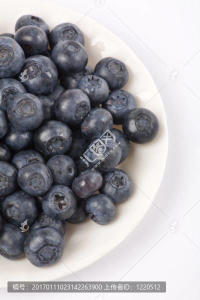 藍(lán)莓-匯圖網(wǎng) www.fosd68.com 藍(lán)莓