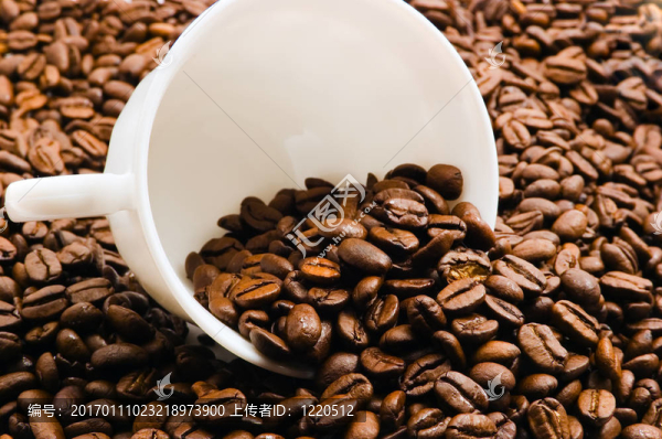 咖啡豆杯-匯圖網(wǎng) www.fosd68.com 咖啡豆杯