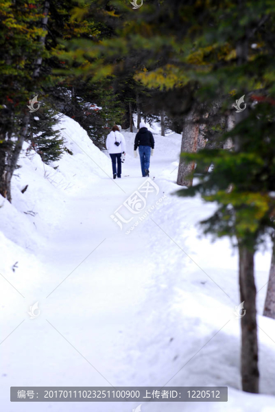 積雪的道路