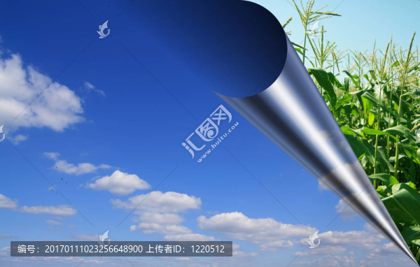 卷起的天空