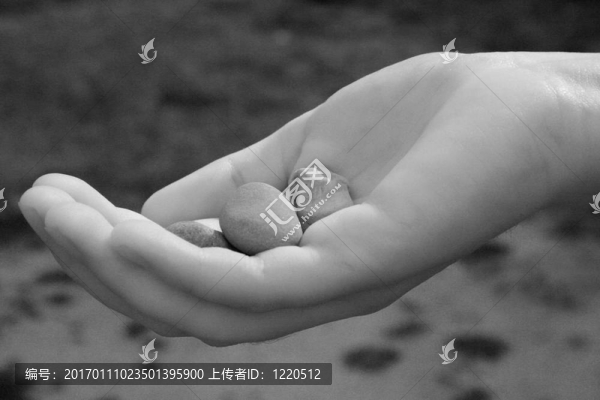 手上的石頭
