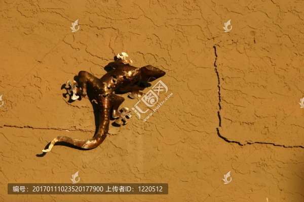 青銅的變色龍