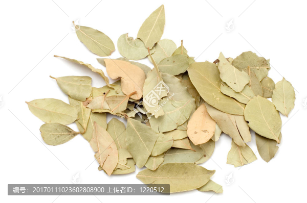 月桂樹葉