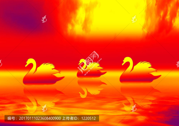 天鵝1-匯圖網(wǎng) www.fosd68.com 天鵝1