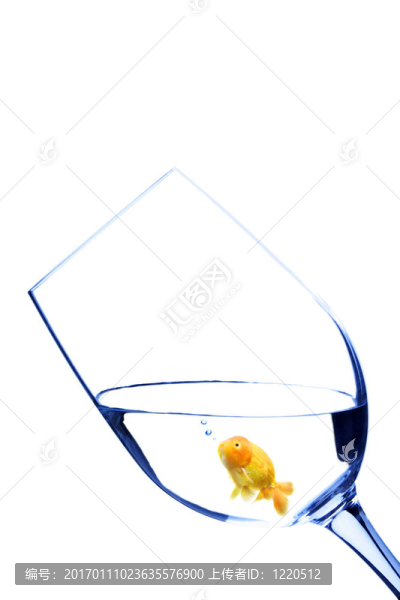 玻璃中的金魚(yú)
