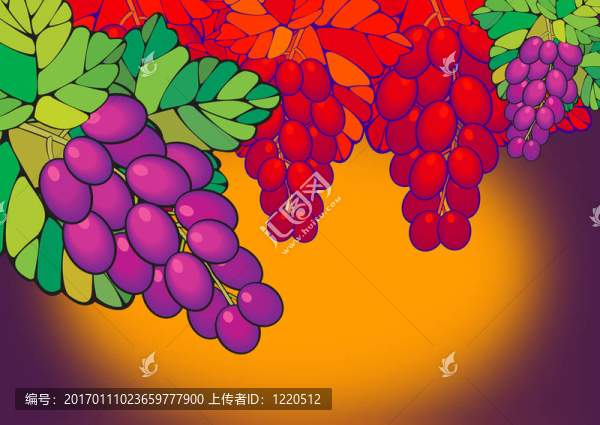 紫葡萄2