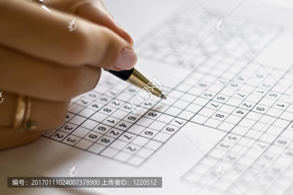 在數(shù)獨(dú)網(wǎng)格手