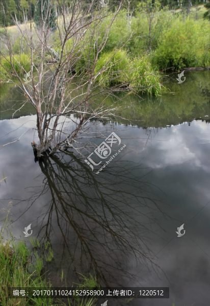 Beaver,Pond的思考