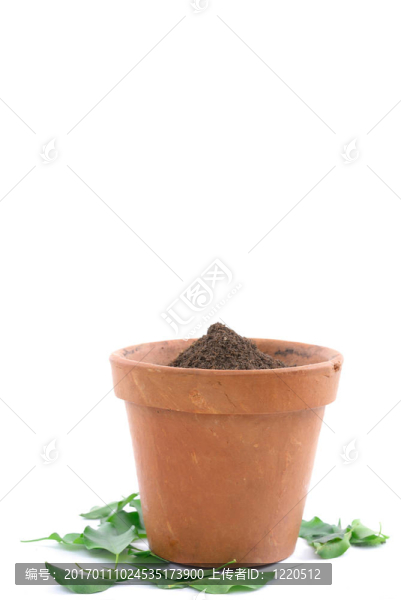 沒(méi)有植物