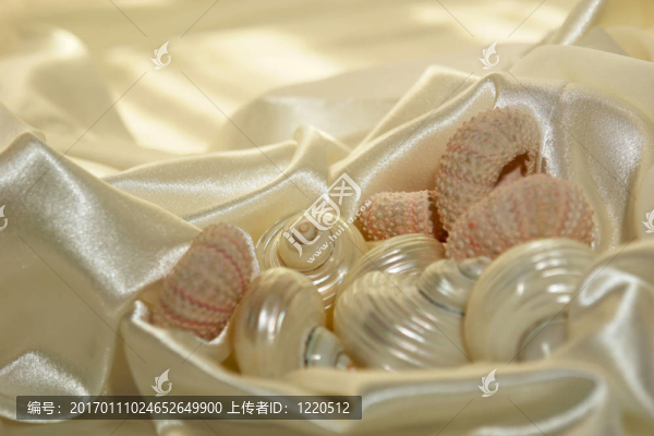 緞面上的貝殼3