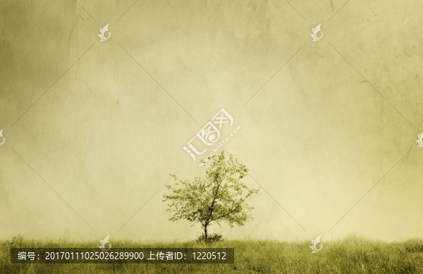 樹-匯圖網(wǎng) www.fosd68.com 樹