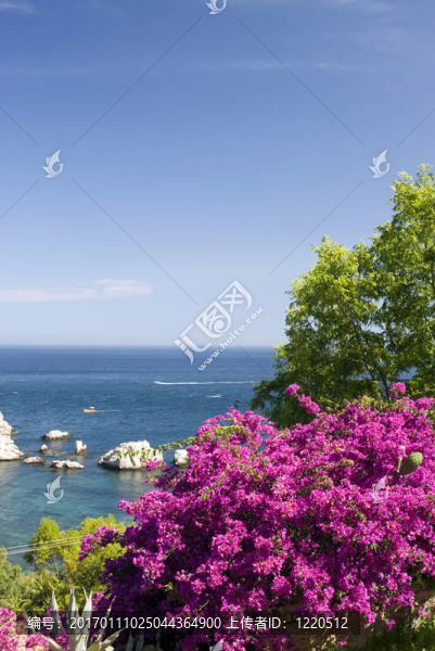 濱海風光帶鮮花西西里島