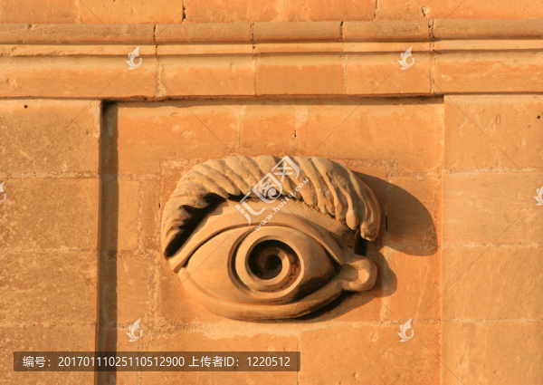 眼睛的vedette2