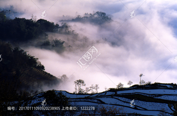 藍調(diào)梯田