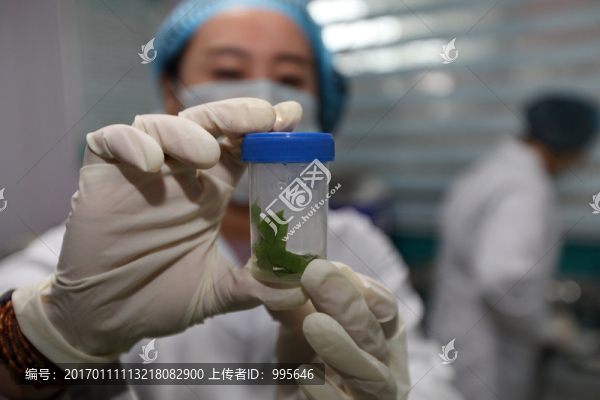 食品安全抽檢