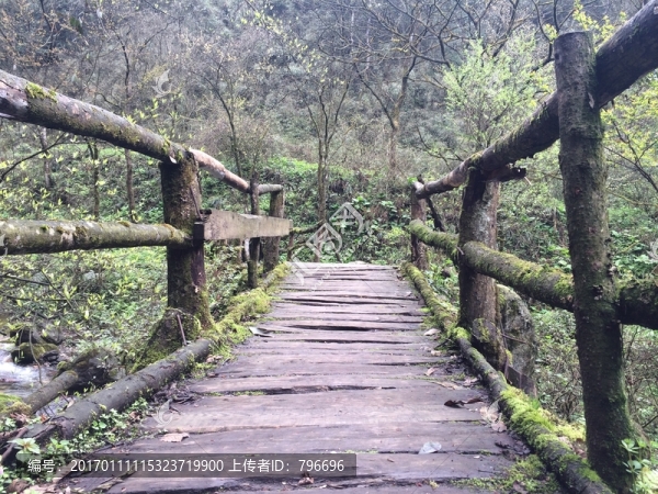 青城山小橋