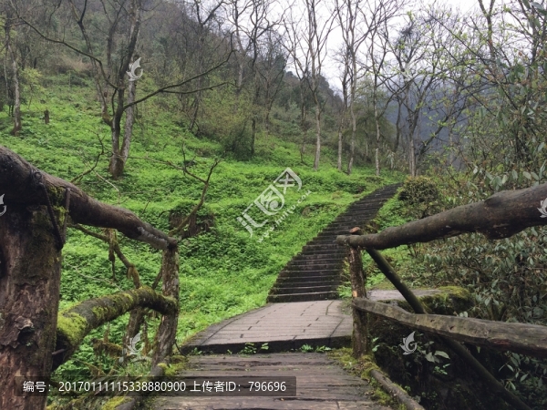 青城山小橋