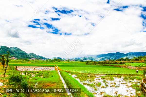 社會主義新農(nóng)村