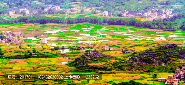 社會(huì)主義新農(nóng)村