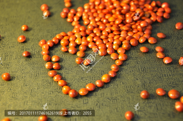心形相思紅豆