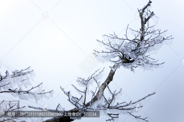 張家界-匯圖網(wǎng) www.fosd68.com 張家界