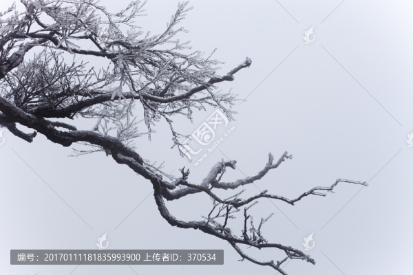 張家界