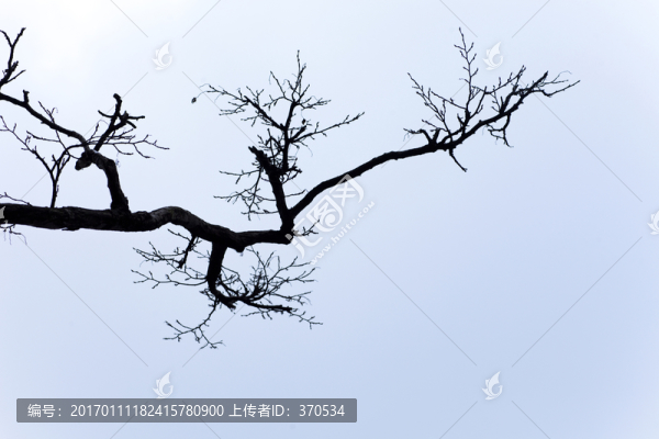 張家界