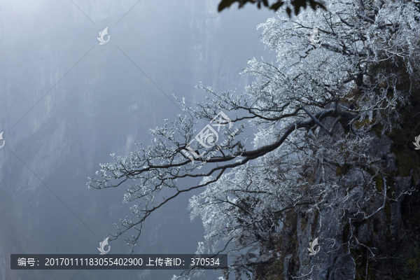 張家界