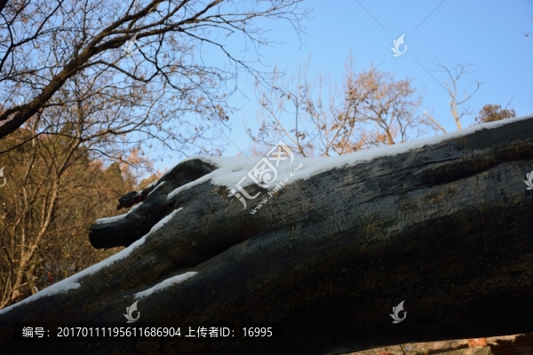 泰山冬日風(fēng)光