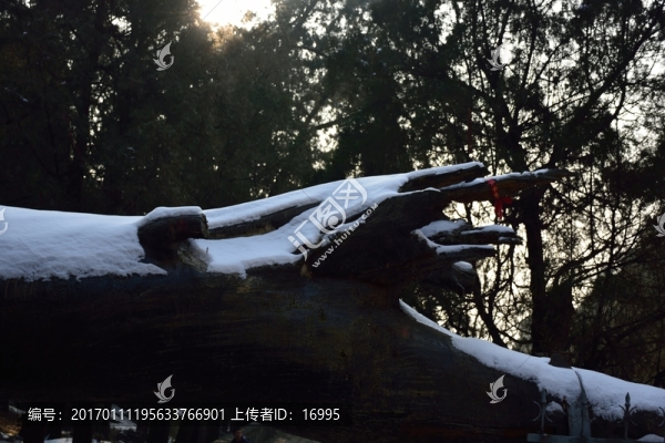 泰山冬日風(fēng)光