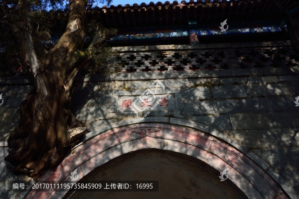 泰山冬日風光