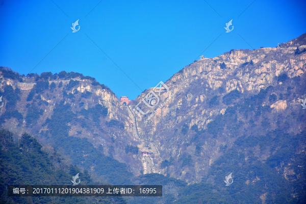 泰山