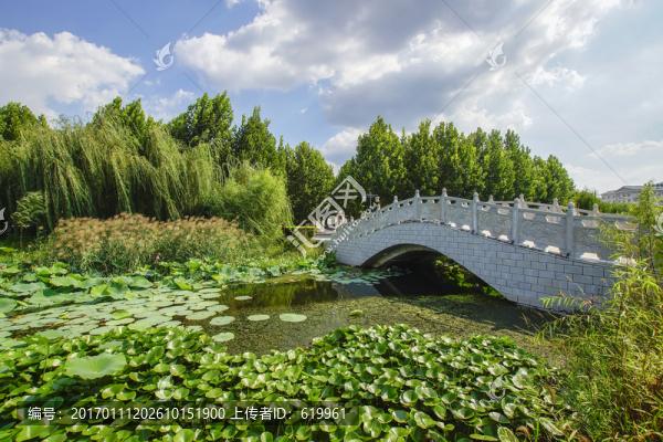 荷塘石橋