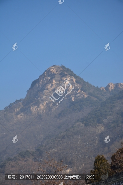 泰山