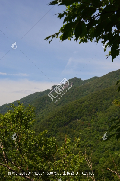 牛背梁