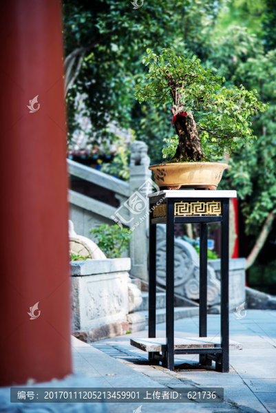古宅盆景