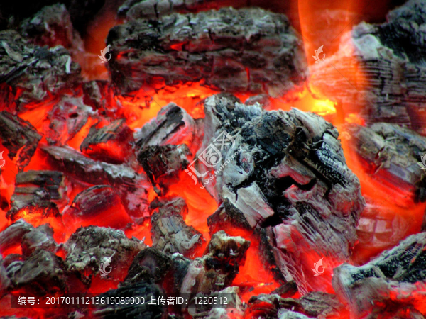 火炭-匯圖網(wǎng) www.fosd68.com 火炭