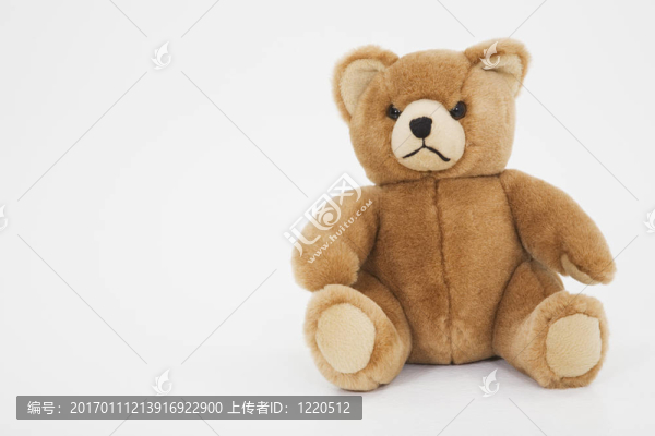 泰迪熊